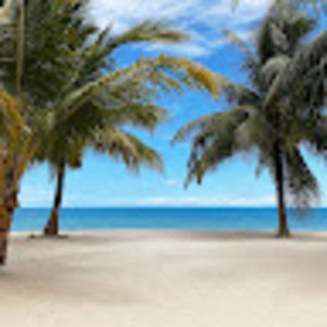 Meet your Posher, Gary